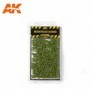 AK-8145 AK Interactive Beech Foliage Summer