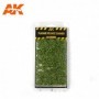 AK-8146 AK Interactive Platane Foliage Summer