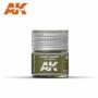 AK-RC028 AK Interactive Light Green FS 34151 10ml