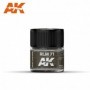 AK-RC275 AK Interactive RLM 71