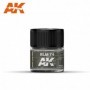 AK-RC278 AK Interactive RLM 74