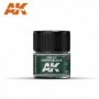 AK-RC305 AK Interactive IJN D2 Green Black 10ml