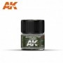 AK-RC309 AK Interactive AII Green 10ml