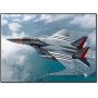 USAF F-15E "D-DAY  75th Anniversary"   1/72