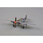 Easy Model 1/48 P-51K 6 Air Commando Aquadron 1ACG India 1945