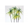 Palm Trees -- pkg(4) Scale HO