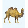 Animal -- Camel Scale HO