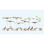 Animals -- Bird Assortment, Unpainted Scale I