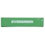 45' Container Evergreen