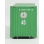 45' Container Evergreen