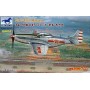 Bronco Models 1/48 PLA P-51D/K Mustang Aircraft from 1949 Parade