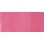 Copic Sketch Marker Red Violets, Dark Pink RV34 (4511338003374)