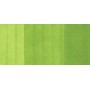 Copic Sketch Marker Yellow Greens, Celadon Green YG25 (4511338007372)