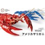Fujimi Biology Research 24EX-2 Procambarus Clarkii / Ecrevisse de Louisiane (blanche) Edition Biologique