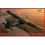 IBG Models 1/32 PL P11c - Polish Fighter Rare birds