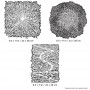 IWATA Artool Texture FX 2 Freehand Airbrush Template by Gerald Mendez