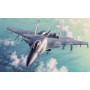 Trumpeter 1/72 Russian Su-33 Flanker D