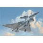 TSM-2848 1/48 PLAAF Chinese J10B Vigorous Dragon Fighter