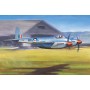 TSM-2893 1/48 DeHavilland Hornet F1 Fighter