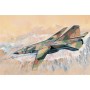 TSM-3211 1/32 MiG23MLD Flogger K Soviet Fighter