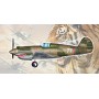 TSM-5807 1/48 H81A2 (AVG) P40 Variant Aircraft