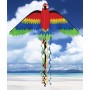 Rainbow Parrot Kite, 66