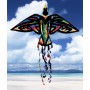 Tie-Dye Bird Kite, 66