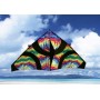 Tie-Dye Delta Kite, 55