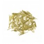 08602 Brass Iron Nails 10 mm (200 u.)