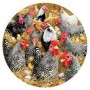 CHICKENS AND CHICKS, 1000, 20