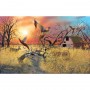 PHEASANT FLIGHT, 1000, 19
