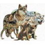WOLF PACK, SHAPE, 2013