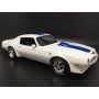 1/24 Model Set 1970 Firebird