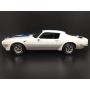 1/24 Model Set 1970 Firebird