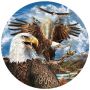 Puzzle 13 eagles 1000