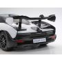 1/10 RC McLaren Senna (TT-02)