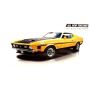 1:25 1971 MUSTANG BOSS 351