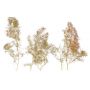SuperTree(TM) Super Value Pack Scenic Express no EX0215