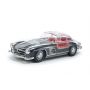 TAM24366 MERCEDES 300 SL FULL VIEW CLEAR (1/24)