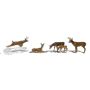 O DEER