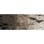 WOOC1221 Earth Color  Raw Umber/4oz
