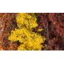 FALL MIX FINE LEAF FOLIAGE