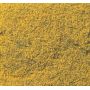 YELLOW FLOWERING FOLIAGE