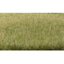 WOOFS619 Static Grass  Light Green 4mm