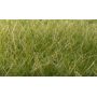 WOOFS626 Static Grass  Medium Green 12mm