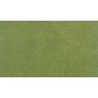 50X100 SPRING GRASS RG ROLL
