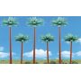 PALM TREES 6/PK 3"-5"