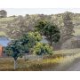 WOOTR1571 Value Trees  Green Mix  2-3in (23)