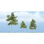 TR1605 2 3/4" - 1 1/2" - 2 1/4" PREM PAPER BIRCH 3/PK