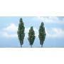 TR1611 4 1/2" - 3 1/2" - 4"  PREM POPLAR 3/PK